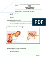 Curso Biologia 12o: Ficha Consolidação Ciclos Reprodutivos