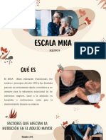 Escala Mna - Equipo 5