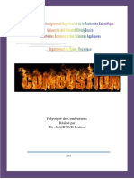Polycopies Combustion