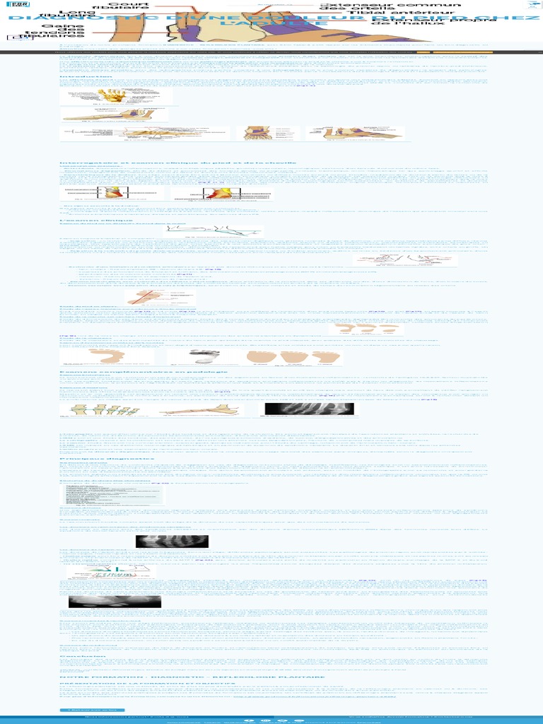 Douleur Du Pied Chez L'adulte - Proformed | PDF | Pied | Douleur