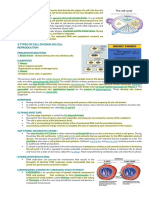 Cell Cycle