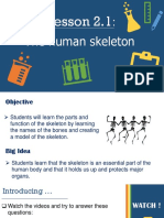 Lesson 2 Grade 7-The Human Skeleton