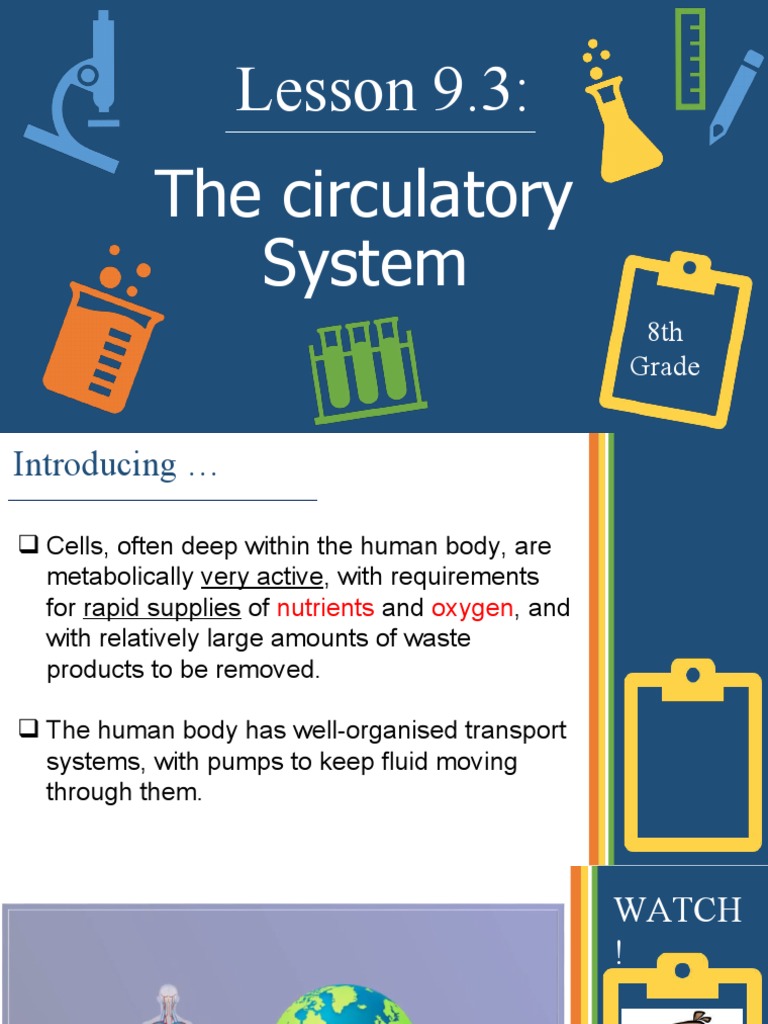 Lesson 9.3 Grade 8 - The Circulatory System | PDF