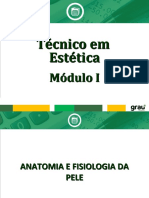 Aula Anatomia e Fisiologia Da Pele