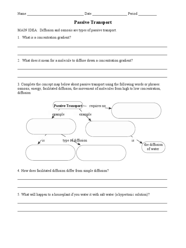 Passive and Active Transport Worksheet PDF Cell Membrane Osmosis