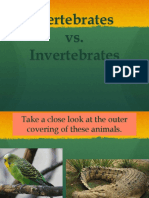 Vertebrates Vs Invertebrate