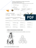 Las Eras Geológicas - Preparándonos para La Evaluación