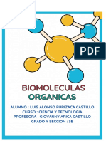 Biomoléculas orgánicas: carbohidratos, lípidos, proteínas y ácidos nucleicos