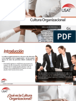 Cultura Organizacional - Estudiar