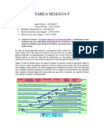 Tarea Semana 5