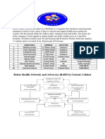 BeHNA Safety Project (1)