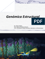 Presentación APO 1 Genómica Estructural - 2022