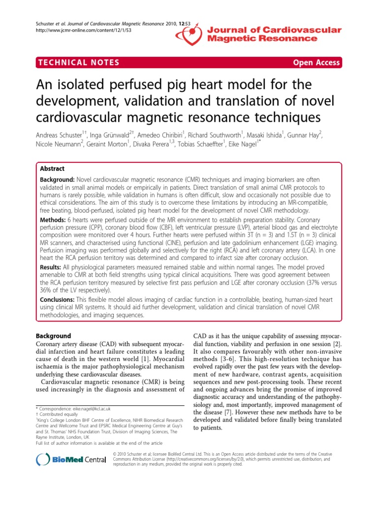 An Isolated Perfused Pig Heart Model For The Development Validation and