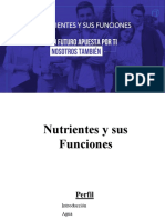 Nutrientes y Sus Funciones