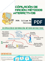 Recopilación de Información: Métodos Interactivos