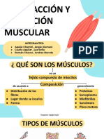 Contracción y Relajación Muscular G1