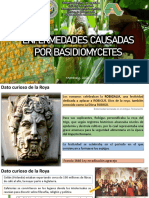 ENFERMEDADES CAUSADAS POR BASIDIOMYCETES