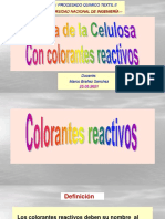 Tintura de La Celulosa Con Colorantes Reactivos-2021-1