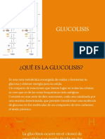 Glucolisis 