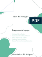 Ciclo Del Nitrogeno (Exposicion)