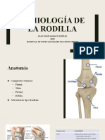 Semiologia de La Rodilla