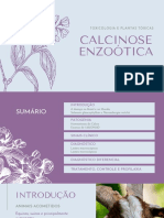 Calcinose enzoótica em plantas tóxicas