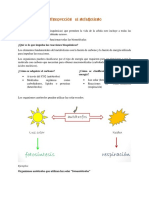 Introducción Al Metabolismo