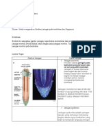 Tugas Portofolio Ke 2 Kelas XI