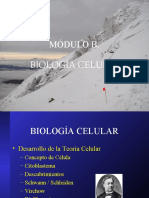 (B) B.Celular