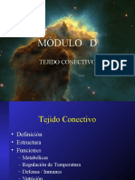 (D)_Tejido_Conectivo