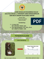 Ahmad Fiqri Khaykal - PPT