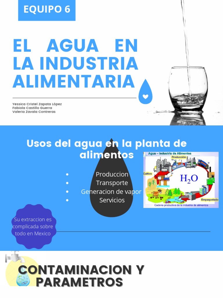El Agua en La Industria Alimentaria | PDF