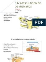 Capitulo Iv Articulacion de Los Miembros
