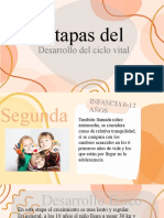 Etapas Del Desarrollo