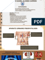 Aparato Urinario Fisiopatología-Grupo N6