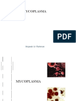 13 Mycoplasma Atypical-Pneumonia