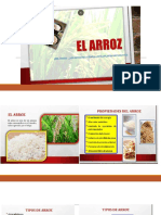 Quimica de Los Alimentos 1 - Arroz