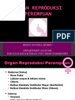 Organ Reproduksi Perempuan