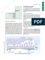 Lectura Filtración Renal