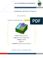 Escuela Superior de Ciencias Naturales: Universidad Autónoma de Guerrero