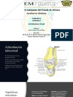 Articulaciones Del Pie