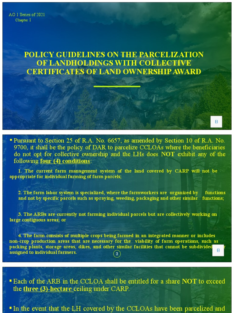 Guidelines for Parcelization of CCLOAs | PDF