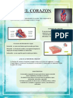 El Corazon Terminado