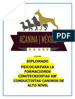 Inf Diplomado Noviembre