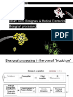 PDF Biosignal Processing
