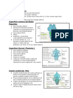 Fisiologia 