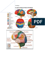 Fisiopatología Del Sistema Neurológico