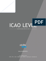 ICAO Level - English Guidance