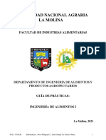 Guía de Prácticas Ingeniería I Nuevo - 2021-Ii