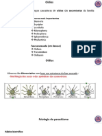 Conteúdo Sobre Oidio para Engenharia